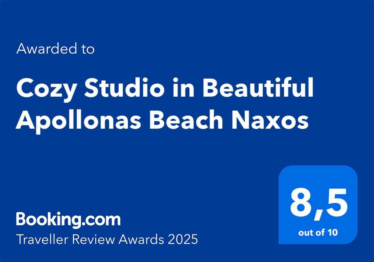 Cozy Studio In Beautiful Apollonas Beach Naxos Apollon  Exterior photo